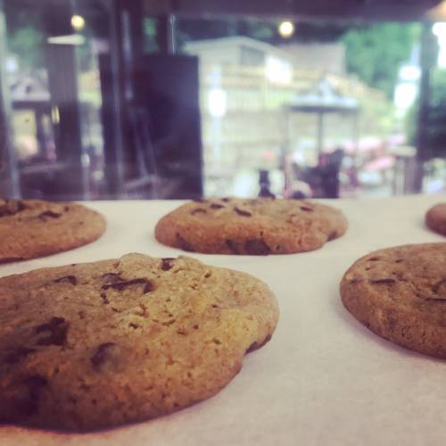 Close-up of freshly baked chocolate chip cookies on parchment paper, with a blurred outdoor setting in the background.