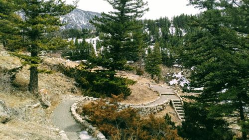A winding path through a forested area with mountains in the background and patches of snow on the ground.