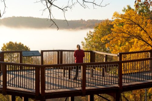 A person stands on a wooden observation deck surrounded by autumn trees and foggy hills in the background.