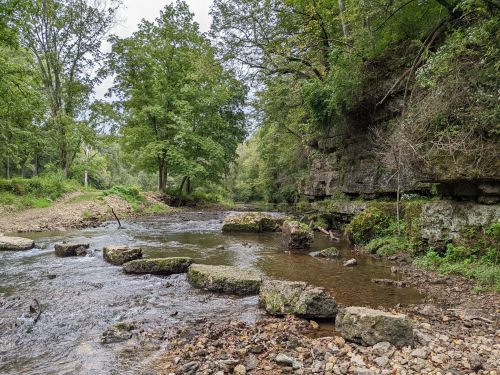 A serene river scene with rocky outcrops, surrounded by lush greenery and trees along the banks.