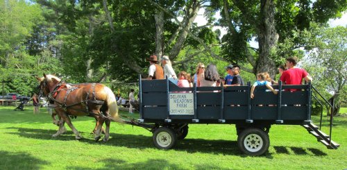 A horse-drawn wagon filled with people rides through a grassy area, surrounded by trees on a sunny day.