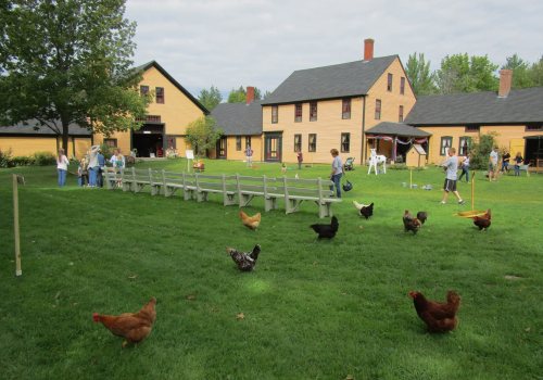 A farm scene with people walking, chickens roaming, and yellow buildings in the background under a cloudy sky.