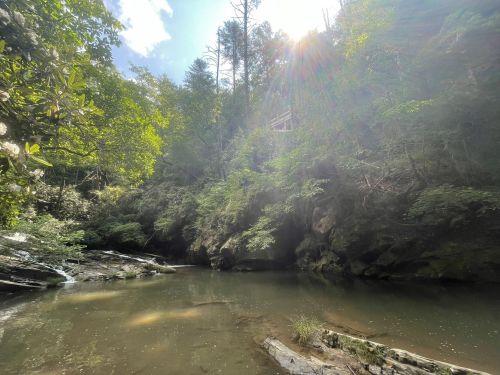 A serene river scene surrounded by lush greenery and sunlight filtering through the trees.