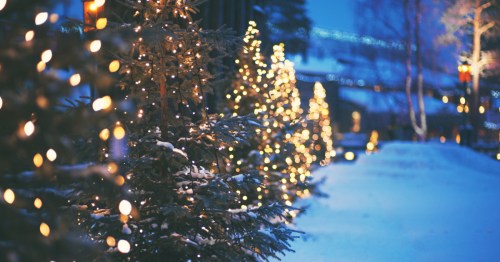 Looking down a street lined with pine trees covered in Christmas lights. A blanket of snow covers the ground.