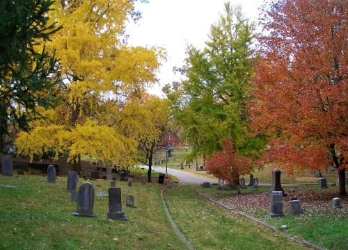 A serene cemetery path lined with colorful autumn trees and gravestones, showcasing vibrant yellow and red foliage.