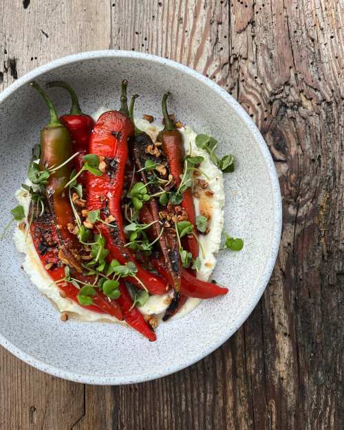 A bowl of grilled red and green peppers on a bed of creamy sauce, garnished with microgreens and crispy toppings.