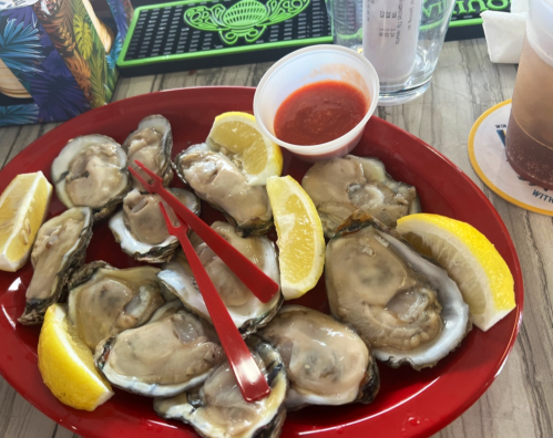 A red platter filled with fresh oysters, lemon wedges, and a small cup of cocktail sauce.