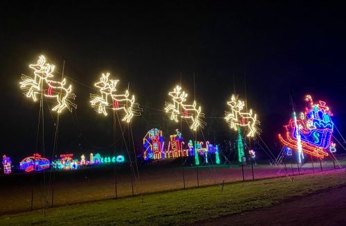Colorful holiday lights display featuring reindeer and a sleigh against a dark night sky.
