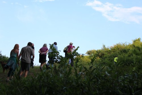 A group of people walking up a grassy hill under a clear blue sky, surrounded by greenery.