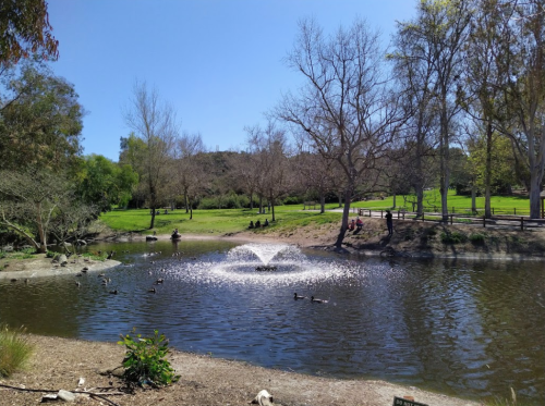 A serene park scene featuring a pond with a fountain, surrounded by trees and people enjoying the outdoors.