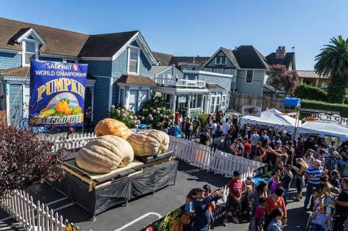 A bustling pumpkin festival with large pumpkins on display, surrounded by crowds and festive decorations.