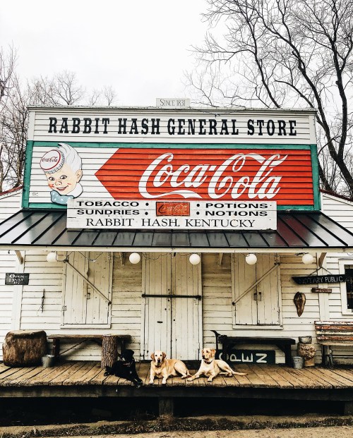 A vintage general store with a Coca-Cola sign, featuring two dogs lounging on the porch in Rabbit Hash, Kentucky.