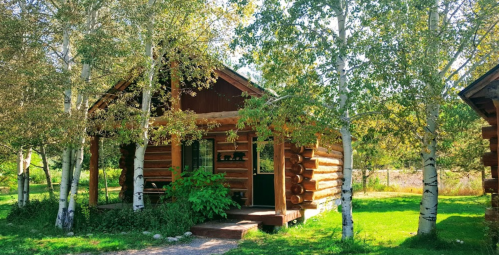 A cozy log cabin surrounded by green trees and grass, creating a serene outdoor setting.