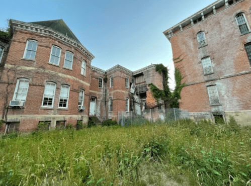 Abandoned brick buildings surrounded by overgrown grass and vines, with a clear sky above.