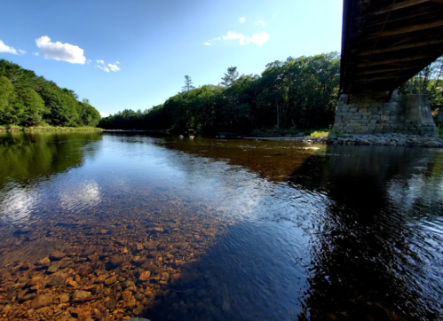 A serene river scene with clear water, rocky bottom, and trees lining the banks, viewed from under a bridge.