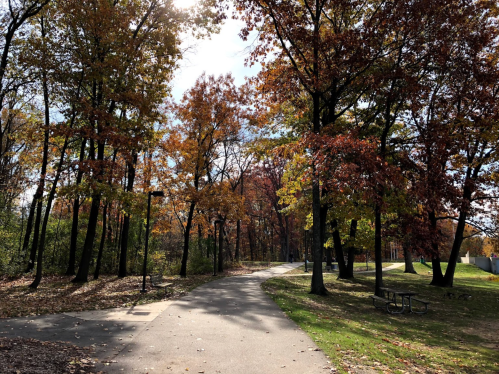A winding path through a park surrounded by trees with vibrant autumn foliage under a bright sky.
