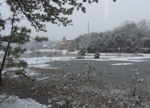 A snowy landscape with a frozen pond, trees, and a distant house under a gray sky.