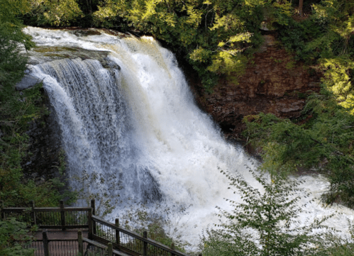 A cascading waterfall surrounded by lush greenery and a wooden railing in the foreground.