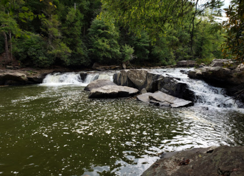 A serene river scene with rocks and gentle waterfalls, surrounded by lush green trees.