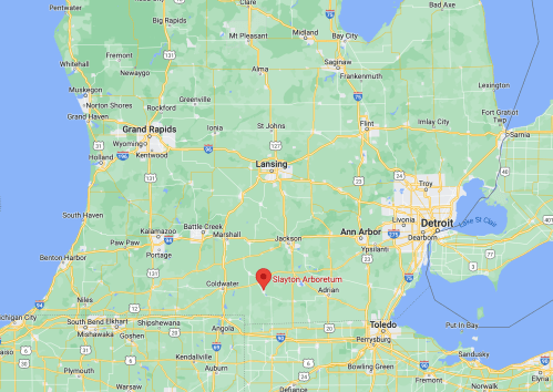 Map showing Michigan with a red marker indicating the location of Slayton Arboretum near Coldwater.