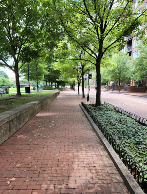 A tree-lined brick walkway with greenery on the side, leading through a quiet urban area.
