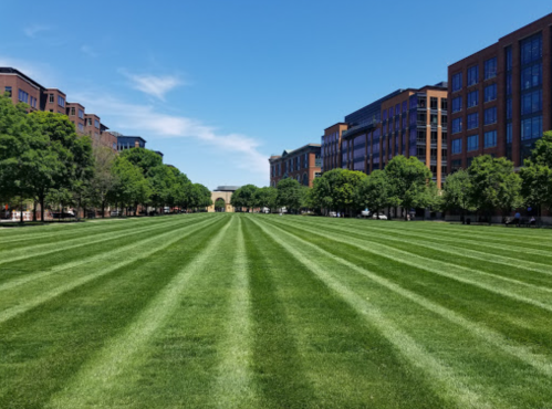 A wide, green lawn with neatly striped grass, flanked by trees and modern buildings under a clear blue sky.