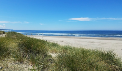 A serene beach scene with gentle waves, sandy shore, and green grass under a clear blue sky.