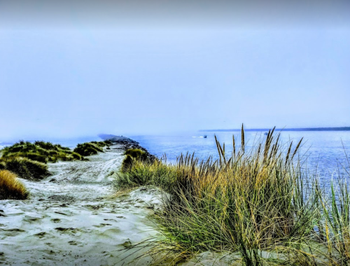 A sandy path leads through tall grass to a calm, misty shoreline and distant water.