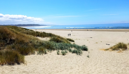 A sandy beach with gentle waves, grassy dunes, and a clear blue sky, featuring a few people walking in the distance.