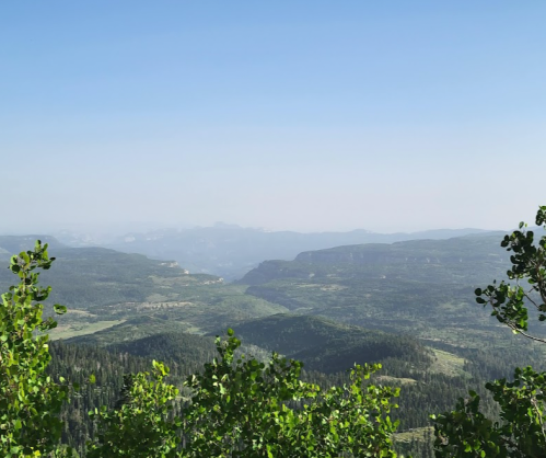 A panoramic view of green mountains and valleys under a clear blue sky, with trees in the foreground.