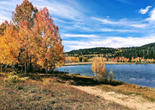 A serene lake surrounded by vibrant autumn trees under a clear blue sky.