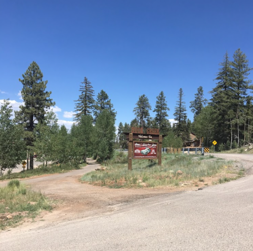 A welcome sign at a scenic roadside, surrounded by tall pine trees and a clear blue sky.