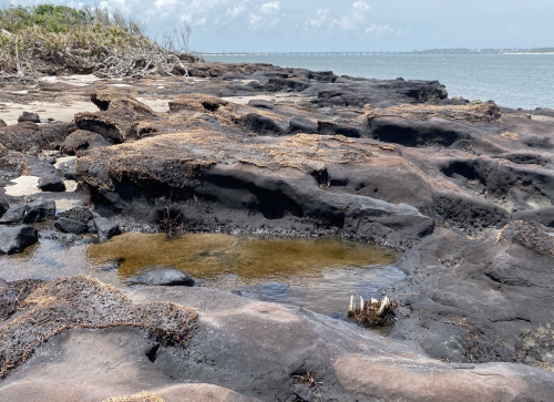 Rocky shoreline with a shallow pool of water, surrounded by dark, textured rocks and a distant view of the ocean.