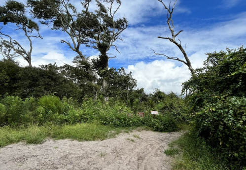 A sandy path leads through lush greenery and trees under a blue sky with scattered clouds.
