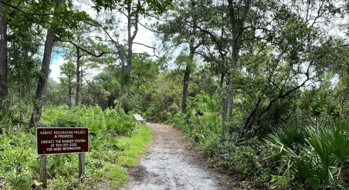 A dirt path through a lush green forest, with a sign for a restoration project on the left.
