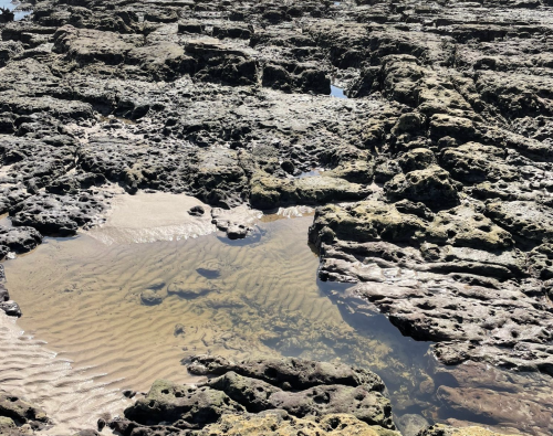 Rocky shoreline with tidal pools and sandy patches, showcasing textured surfaces and shallow water reflections.