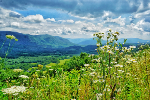 A scenic view of rolling green hills and mountains under a cloudy sky, with wildflowers in the foreground.