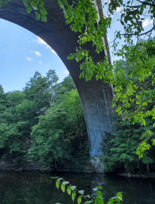 A large bridge arches over a river, surrounded by lush green trees and a clear blue sky.