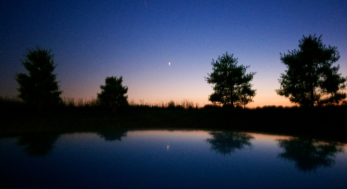 Silhouetted trees reflect in calm water at dusk, with a gradient sky transitioning from blue to orange.