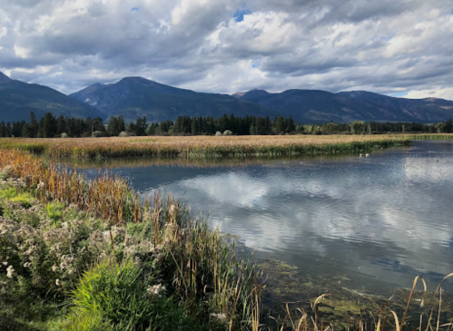 A serene landscape featuring a calm lake, grassy banks, and mountains under a partly cloudy sky.