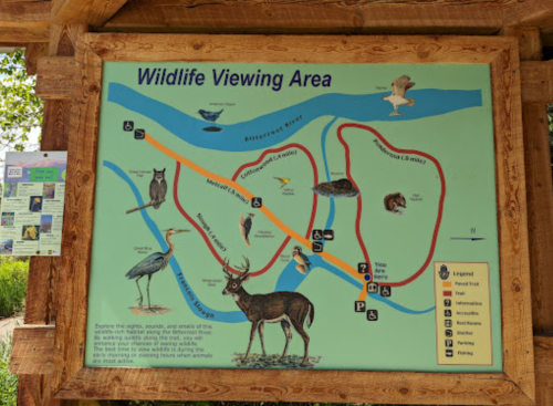 Map of a wildlife viewing area, featuring trails, animal illustrations, and the Blue River.