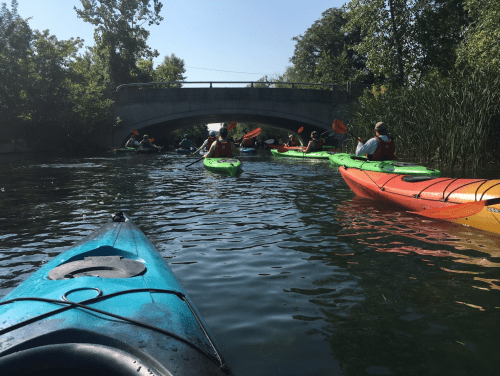 A group of kayakers paddles through a calm waterway under a bridge, surrounded by greenery on a sunny day.