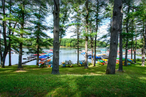 A serene lakeside view with colorful kayaks and canoes lined up, framed by tall trees and a clear blue sky.