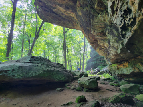 A lush forest scene with large rocks and a cave-like overhang, sunlight filtering through the trees.