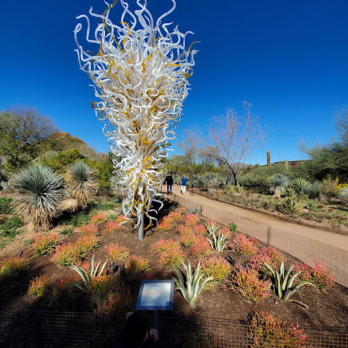 A large, abstract glass sculpture resembling flowing tendrils stands in a desert garden with various plants and a clear blue sky.