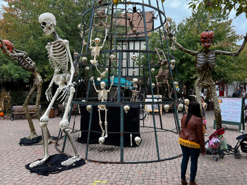 A festive Halloween display featuring large skeletons and spooky decorations in a park setting.