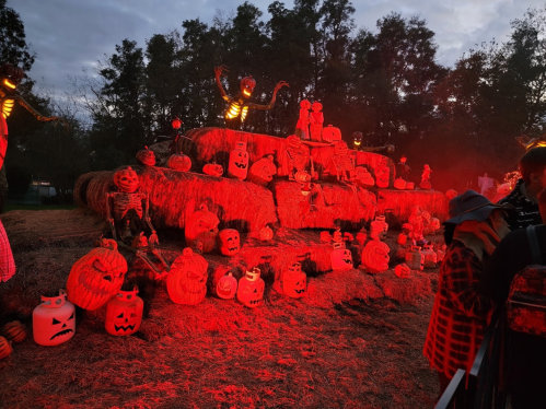 A spooky Halloween scene with glowing skeletons, carved pumpkins, and hay bales, all illuminated in red light.