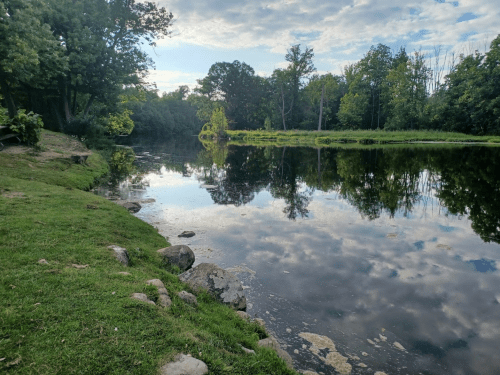 A serene pond surrounded by trees, reflecting the sky and greenery, with rocks lining the grassy shore.