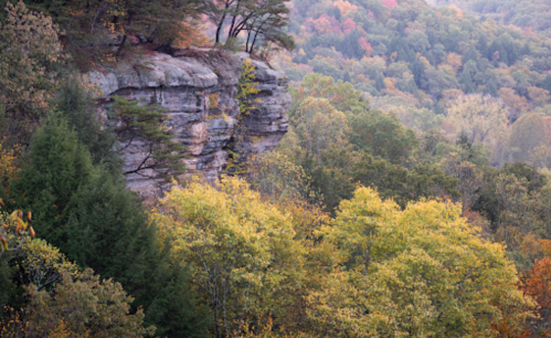 A rocky cliff overlooks a vibrant forest with autumn foliage in various shades of yellow, orange, and green.
