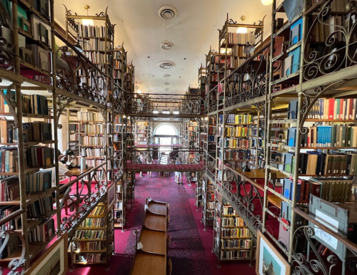 A spacious library with ornate shelves filled with books, featuring a red carpet and large windows.